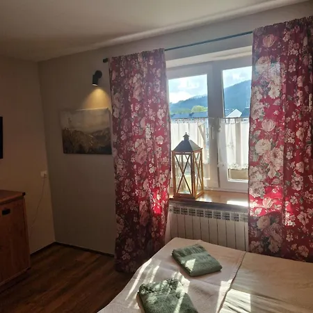 Apartament Przytulny Pokój Z łazienką I Aneksem Kuchennym W Centrum Zakopanego Zakopane