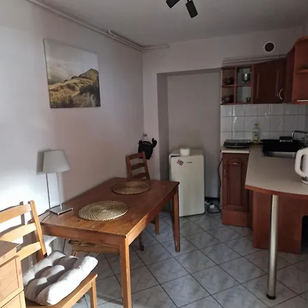Apartament Przytulny Pokój Z łazienką I Aneksem Kuchennym W Centrum Zakopanego Zakopane