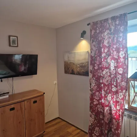 Przytulny Pokój Z łazienką I Aneksem Kuchennym W Centrum Zakopanego Apartament