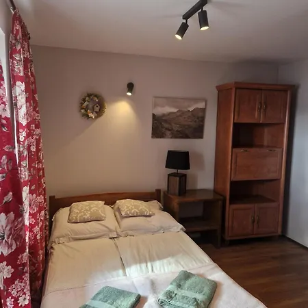 Przytulny Pokój Z łazienką I Aneksem Kuchennym W Centrum Zakopanego Apartament *